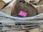 Hainbuchen-Brennholz 50 cm trockene Scheite auf Palette – Bild 2
